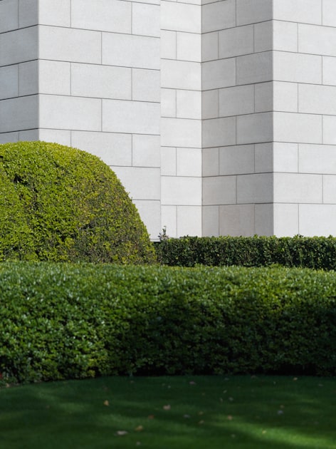 Quick Quotes for Your Landscaping Needs